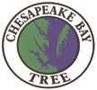 Chesapeake Bay Tree
